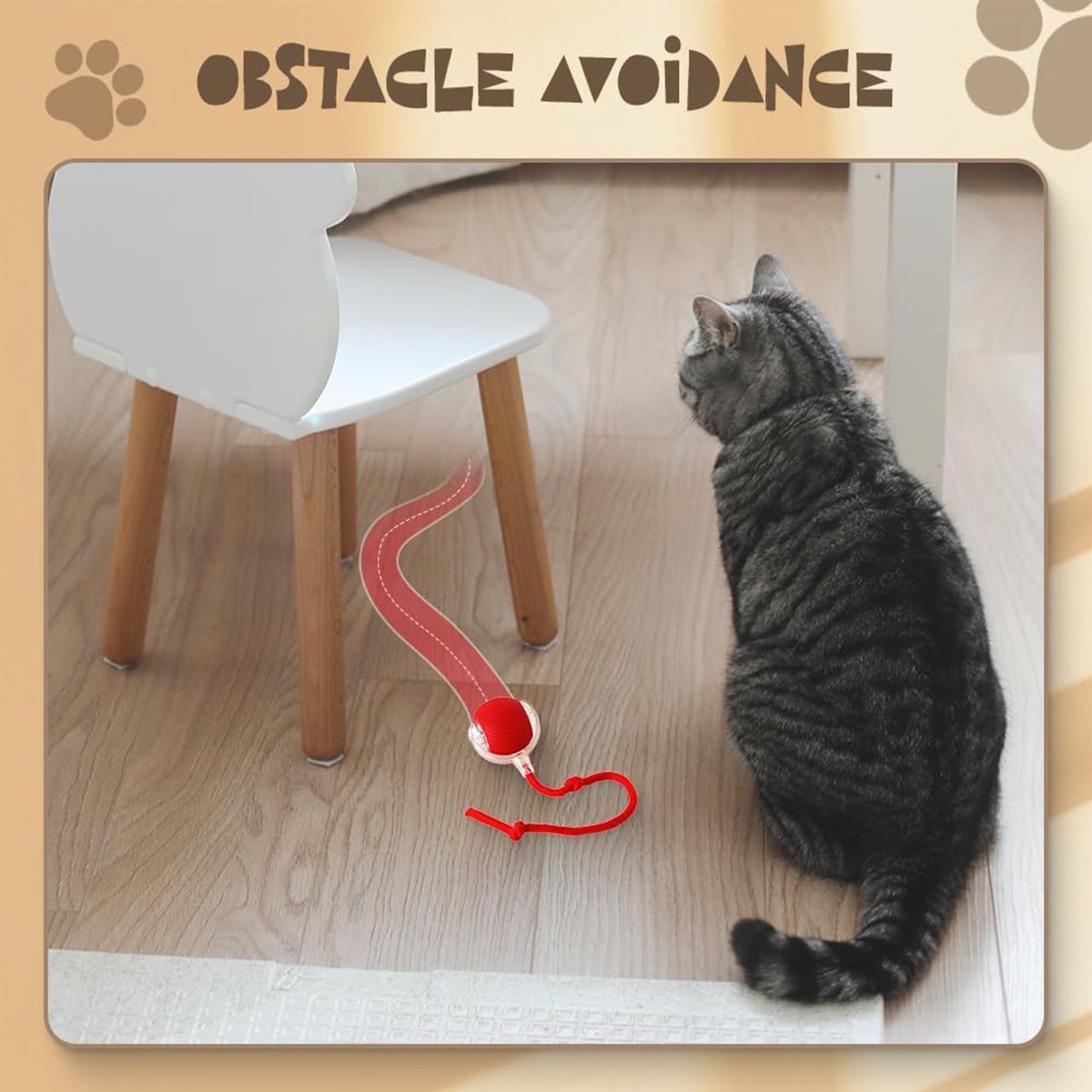 RollBall, una palla da gioco con guinzaglio per animali domestici - Image 6