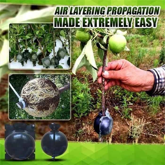 RootBall, uno strumento per clonare piante di successo (2 pz.) - Image 9