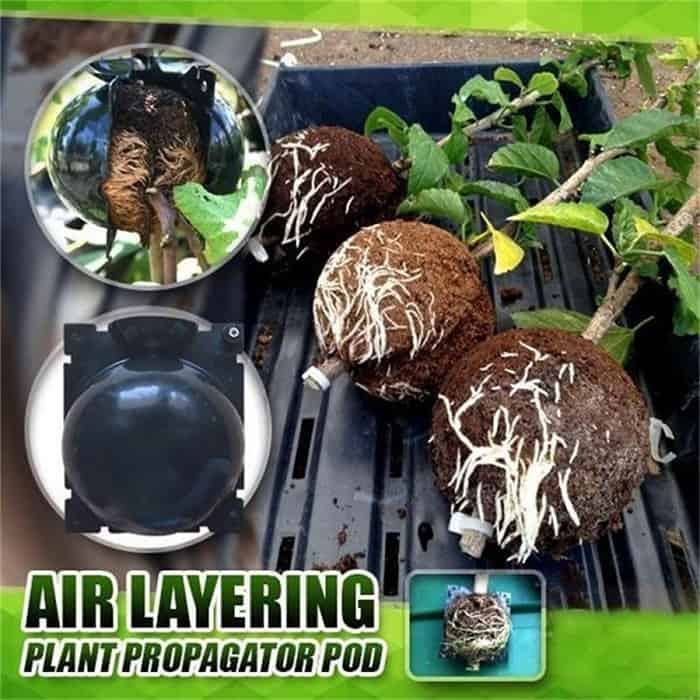 RootBall, uno strumento per clonare piante di successo (2 pz.) - Image 10