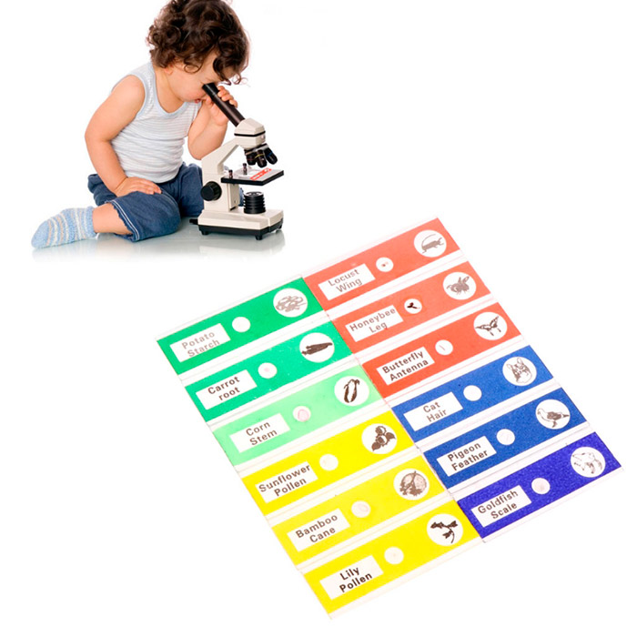 Vetrini, set di vetrini per microscopio (12 pezzi) - Image 3
