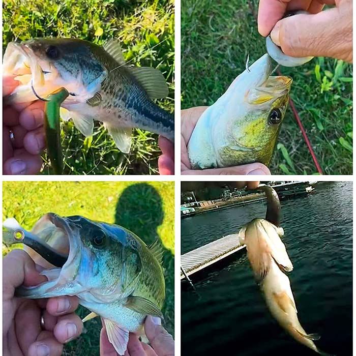 SoftLures, esche per pesci (5 pezzi) - Image 6