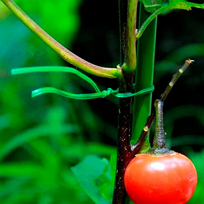 Puoi anche usare il filo per fissare e legare altre cose come fili elettrici, sacchetti di cibo, ecc!
