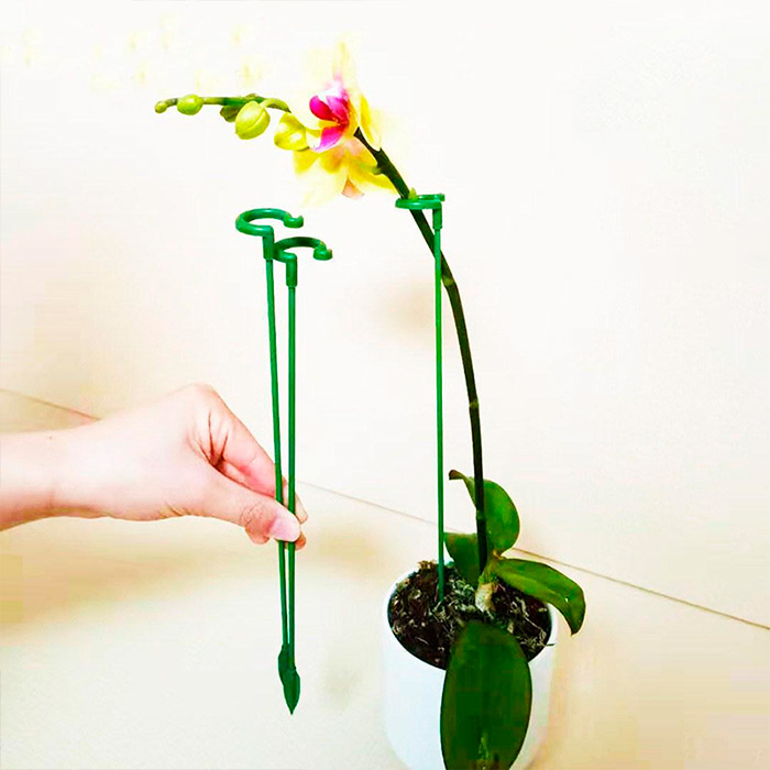 SupportPlant, supporto per piante (10+10 GRATIS) - Image 6