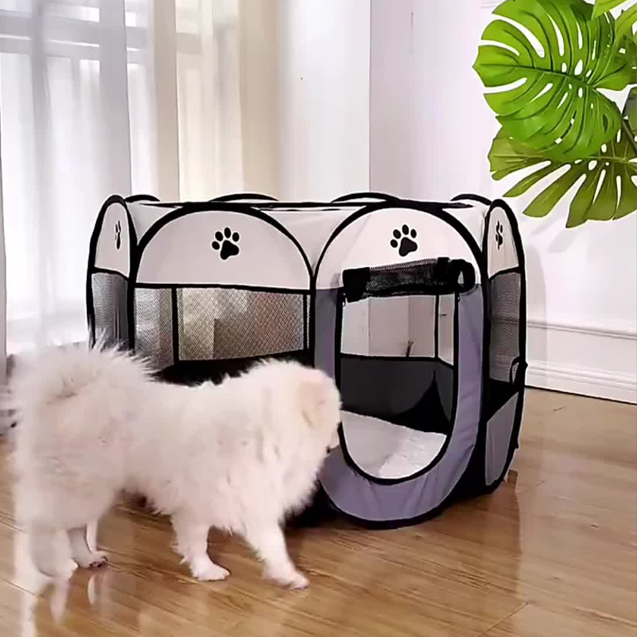 Tent4Pet, la tenda per animali domestici - Image 3