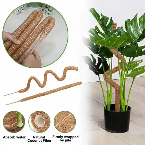 UniquePlant, pilastro di supporto per piante - Image 2