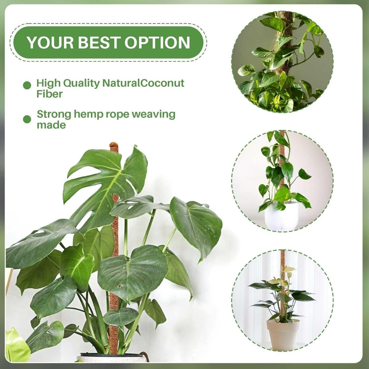 UniquePlant, pilastro di supporto per piante - Image 4