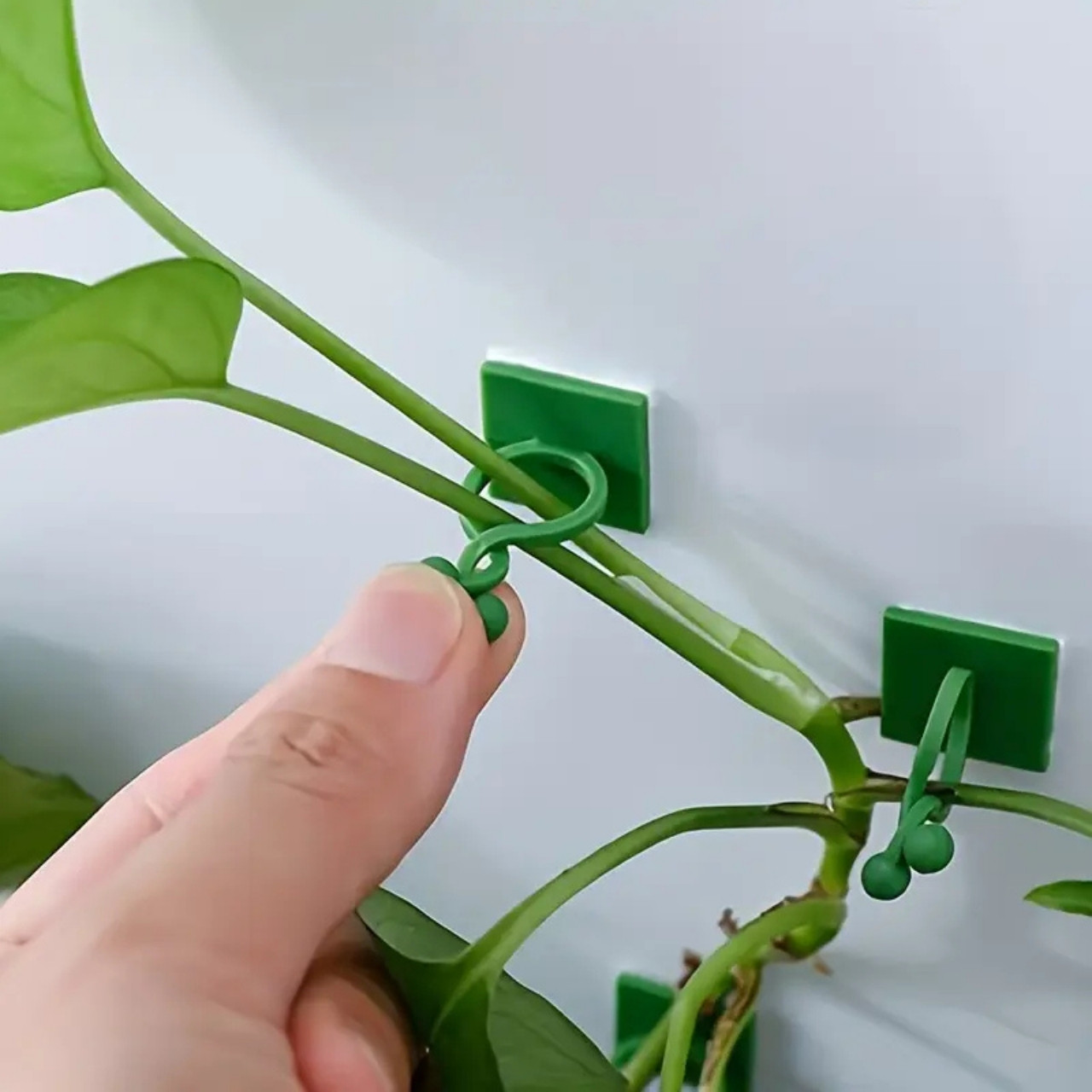 Vines, supporti per piante autoadesivi e rampicanti (100 pezzi) - Image 3