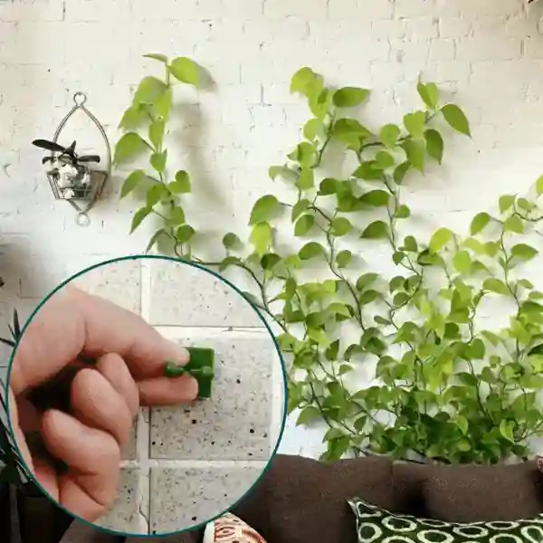 Vines, supporti per piante autoadesivi e rampicanti (100 pezzi) - Image 9