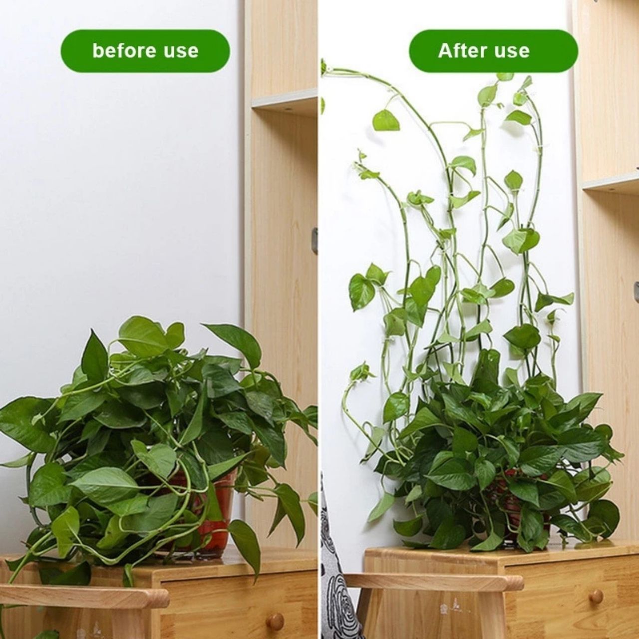 Il design dei supporti si integra perfettamente nelle piante e fornisce un supporto robusto ma estetico per i rampicanti.