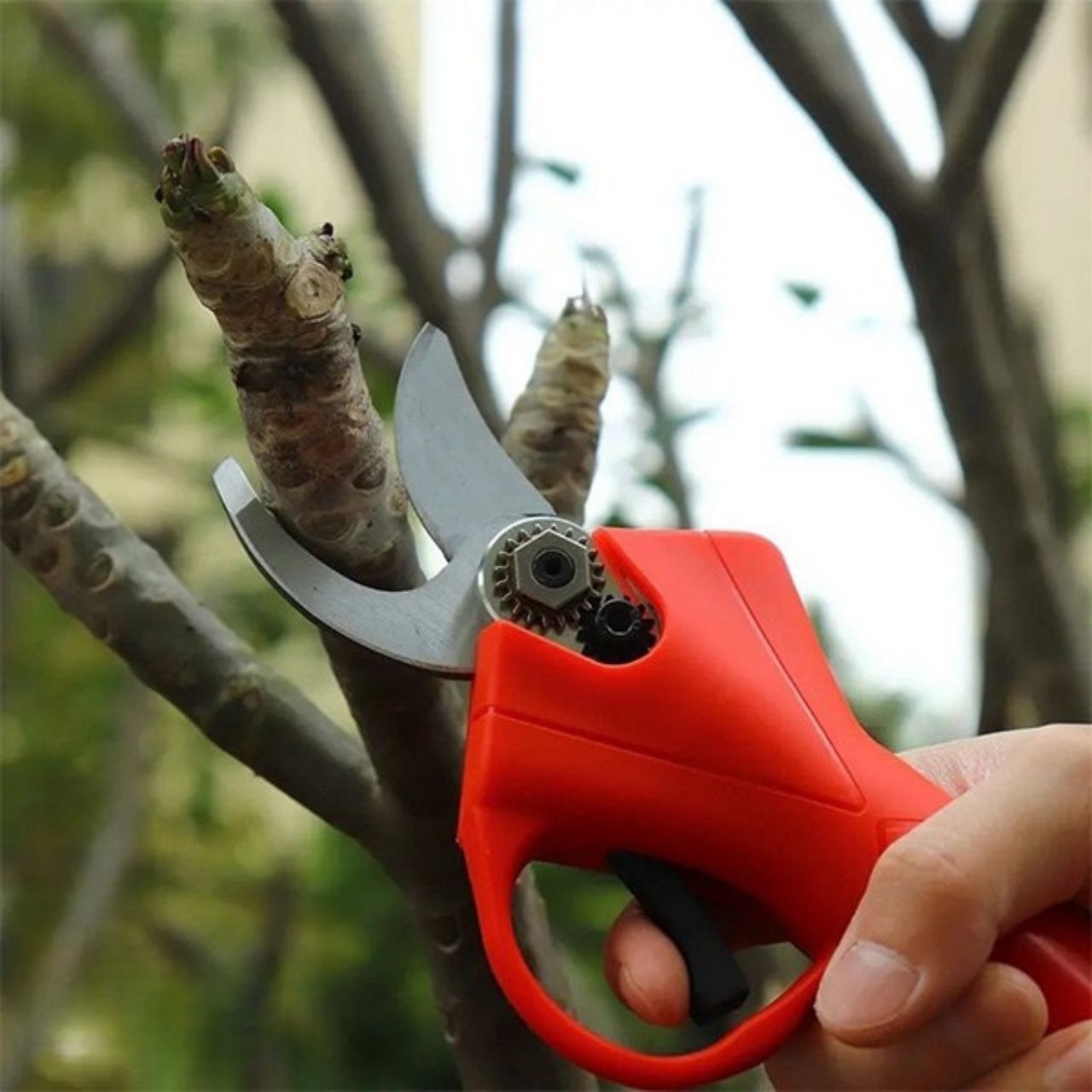 Whizzy, le forbici elettriche per potatura - Image 4