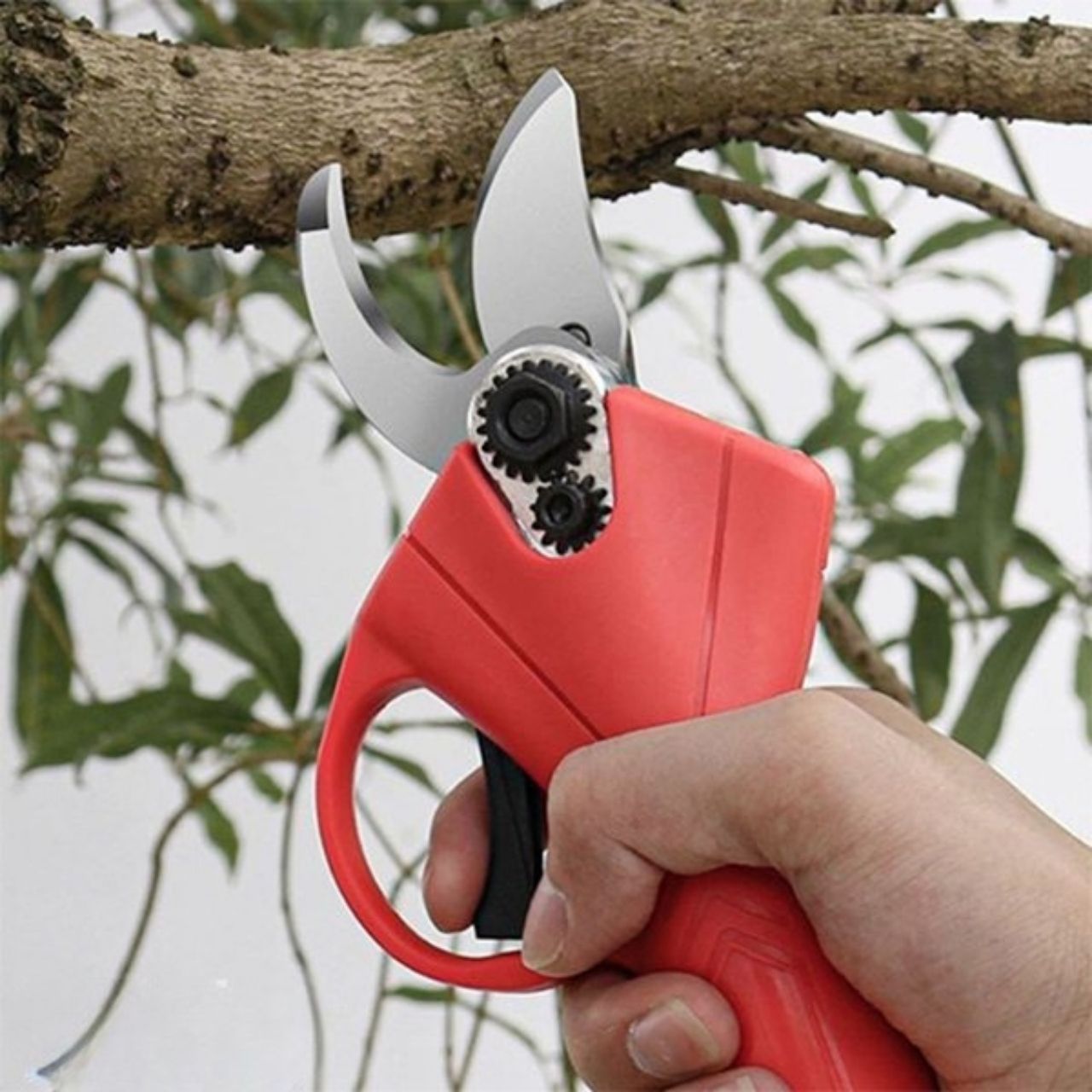 Whizzy, le forbici elettriche per potatura - Image 6