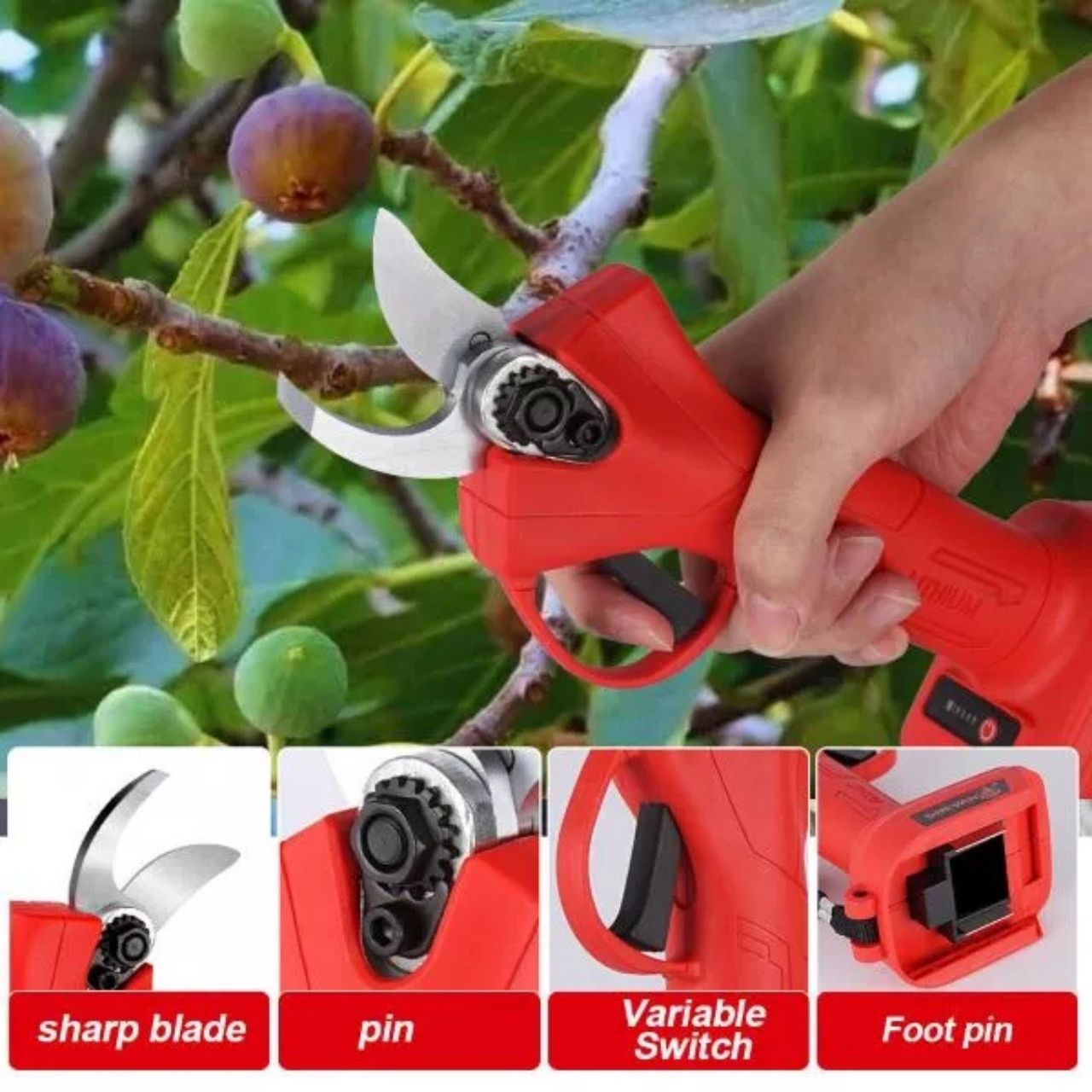 Le potenti lame di taglio consentono una potatura precisa fino a 25 mm di spessore - perfette per rose, alberi da frutto o arbusti ornamentali.